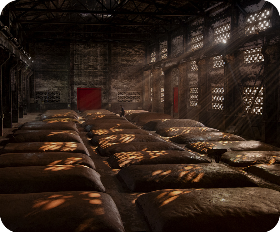 德赢·(VWIN)官方网站-AC米兰官方相助同伴