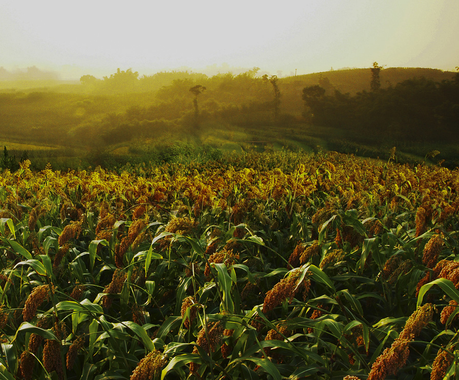 德赢·(VWIN)官方网站-AC米兰官方相助同伴