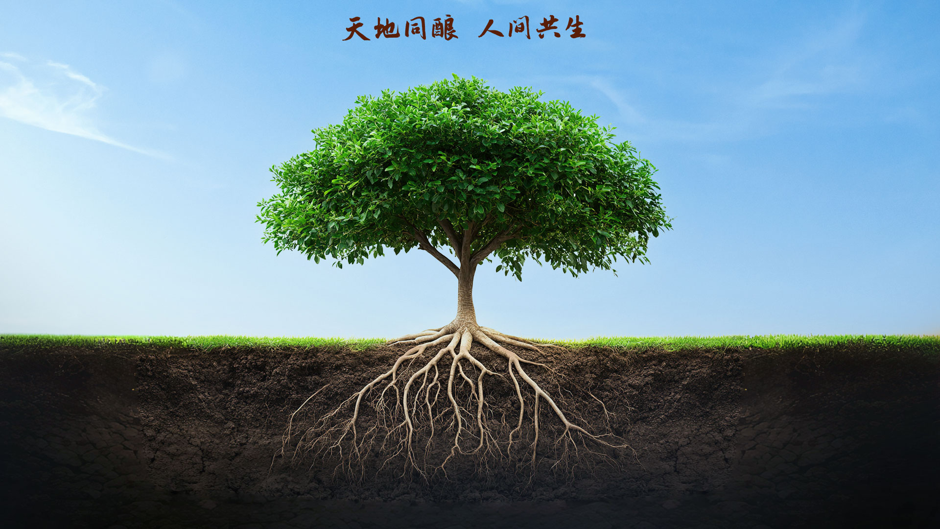 德赢·(VWIN)官方网站-AC米兰官方相助同伴